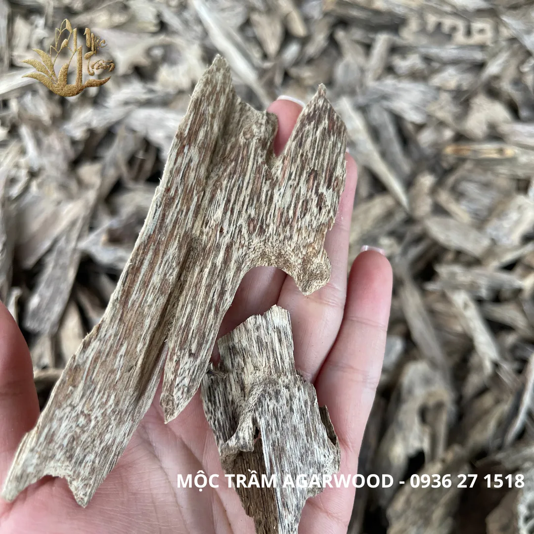 Natural Vietnamese Kien Xi Agarwood Chips – Resinous Oud Pieces (Multiple Weights Available)
